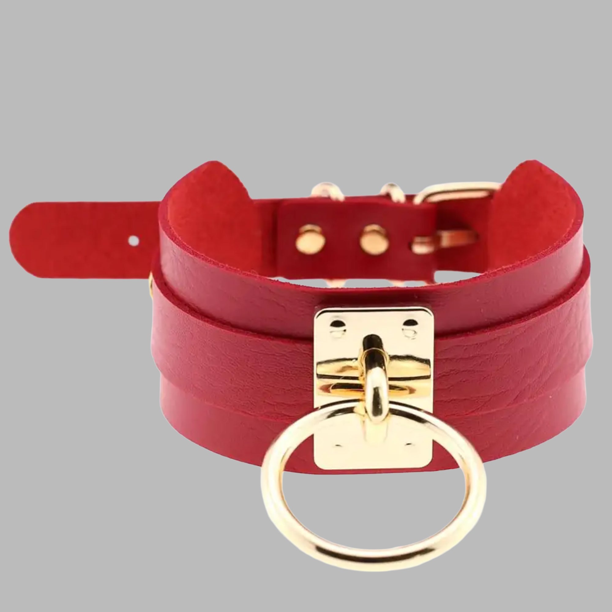 Red single O-ring collar, gold ring and buckle detail