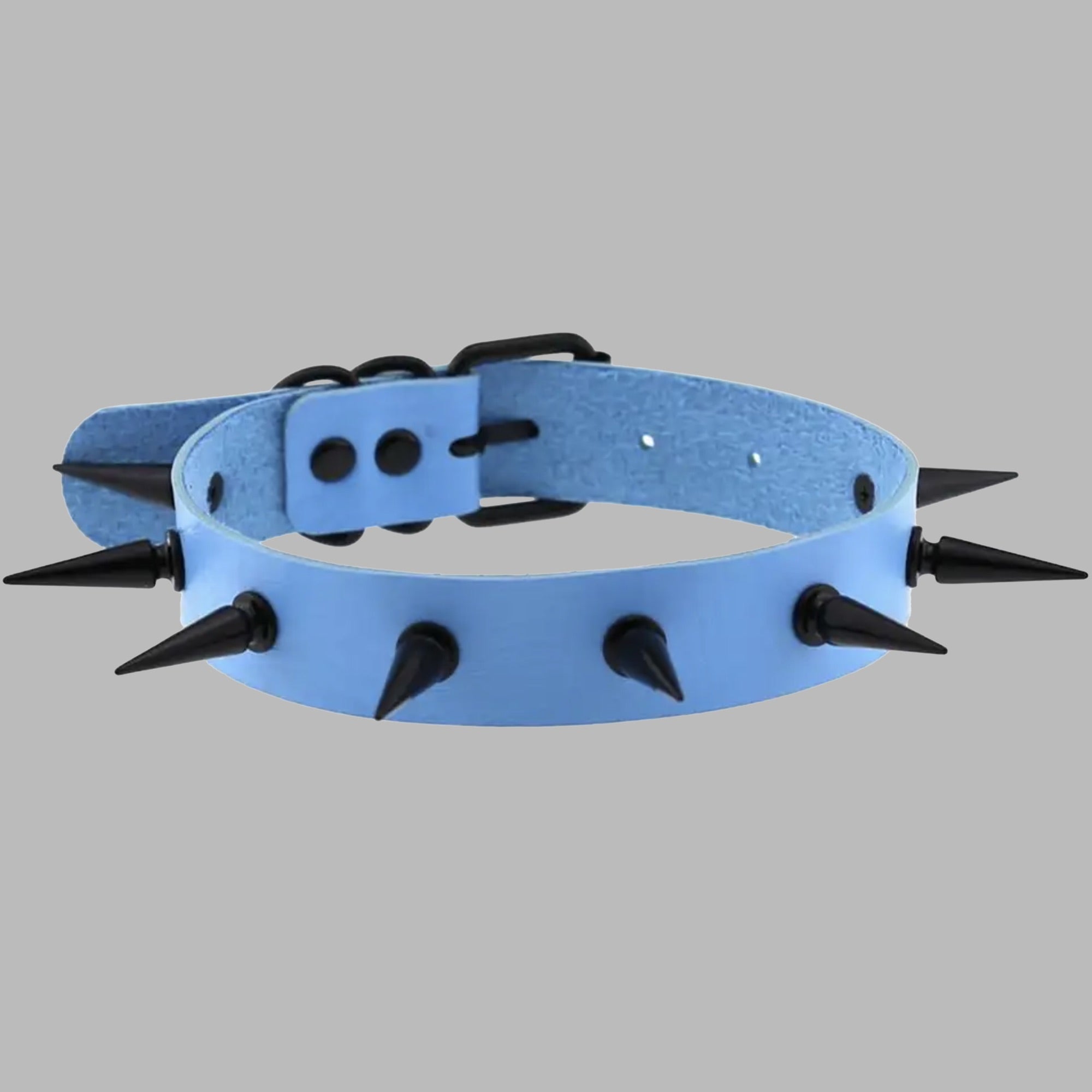 2 Zoll Spikehalsband - Babyblau & Schwarz