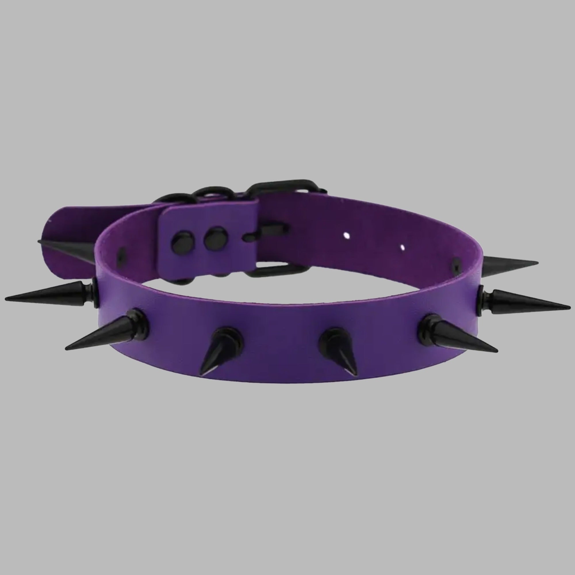 2 Zoll Spikehalsband - Lila & Schwarz