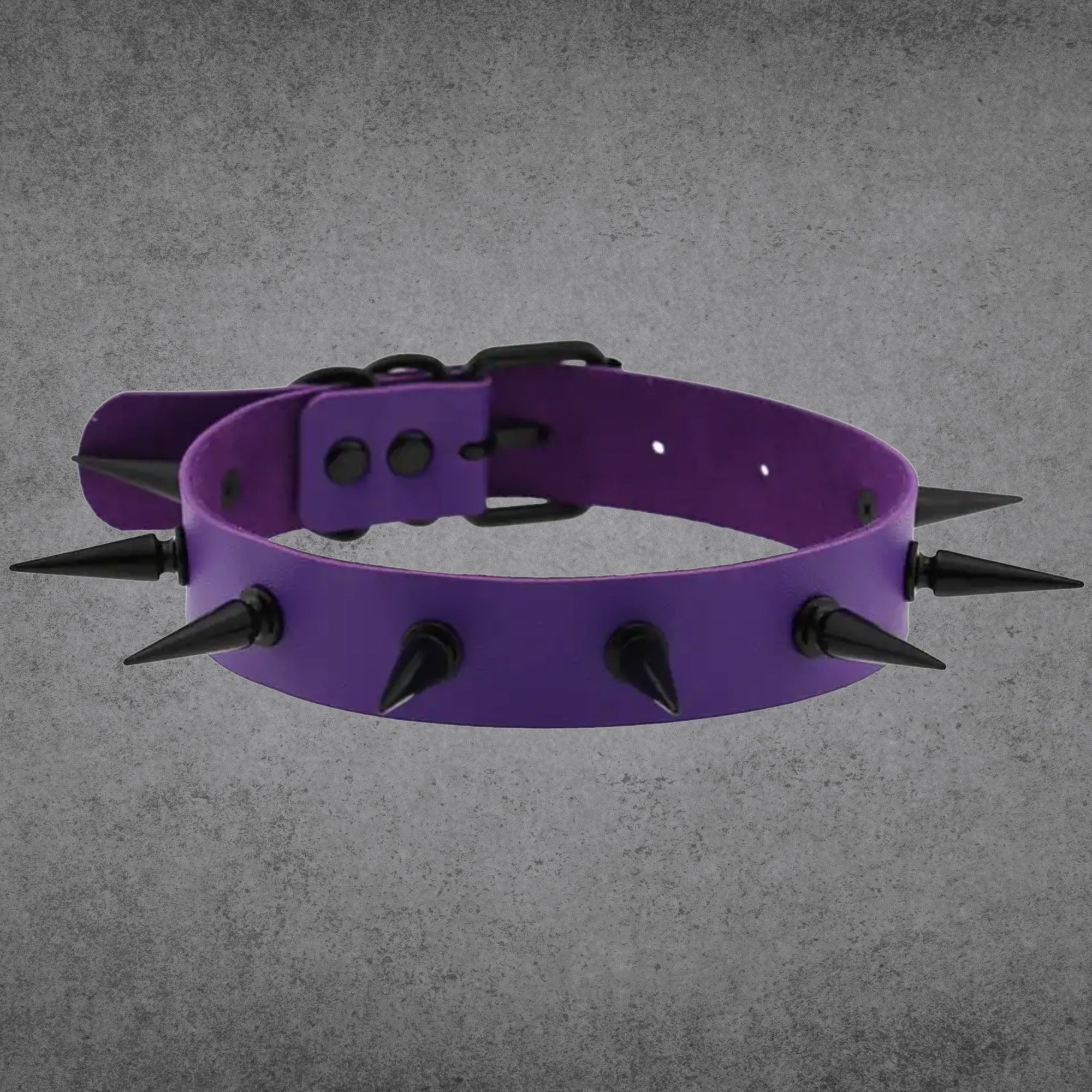 2 Zoll Spikehalsband - Lila & Schwarz