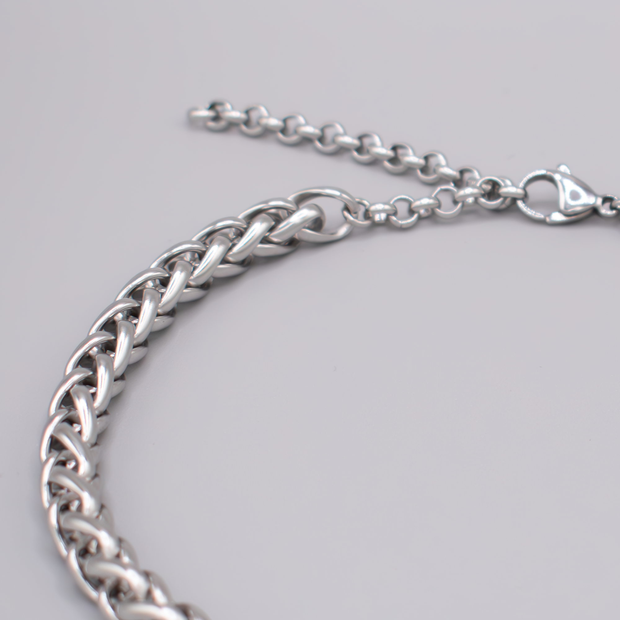 Eternal Love Gothic Skull Foxtail Choker Chain Necklace (Silver)