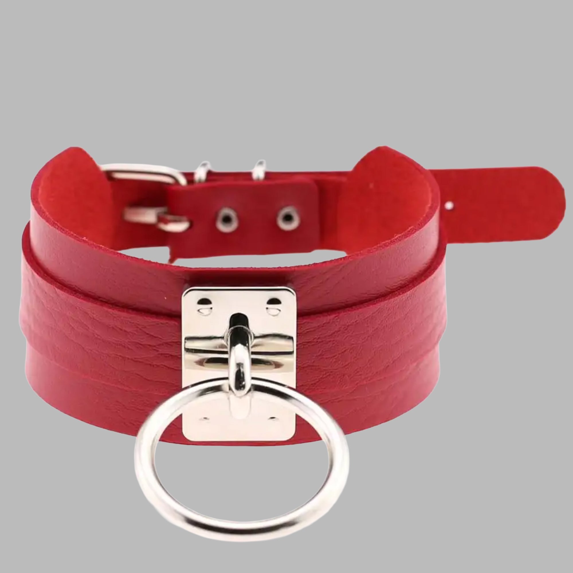 Red single O-ring collar, silver ring and buckle detail