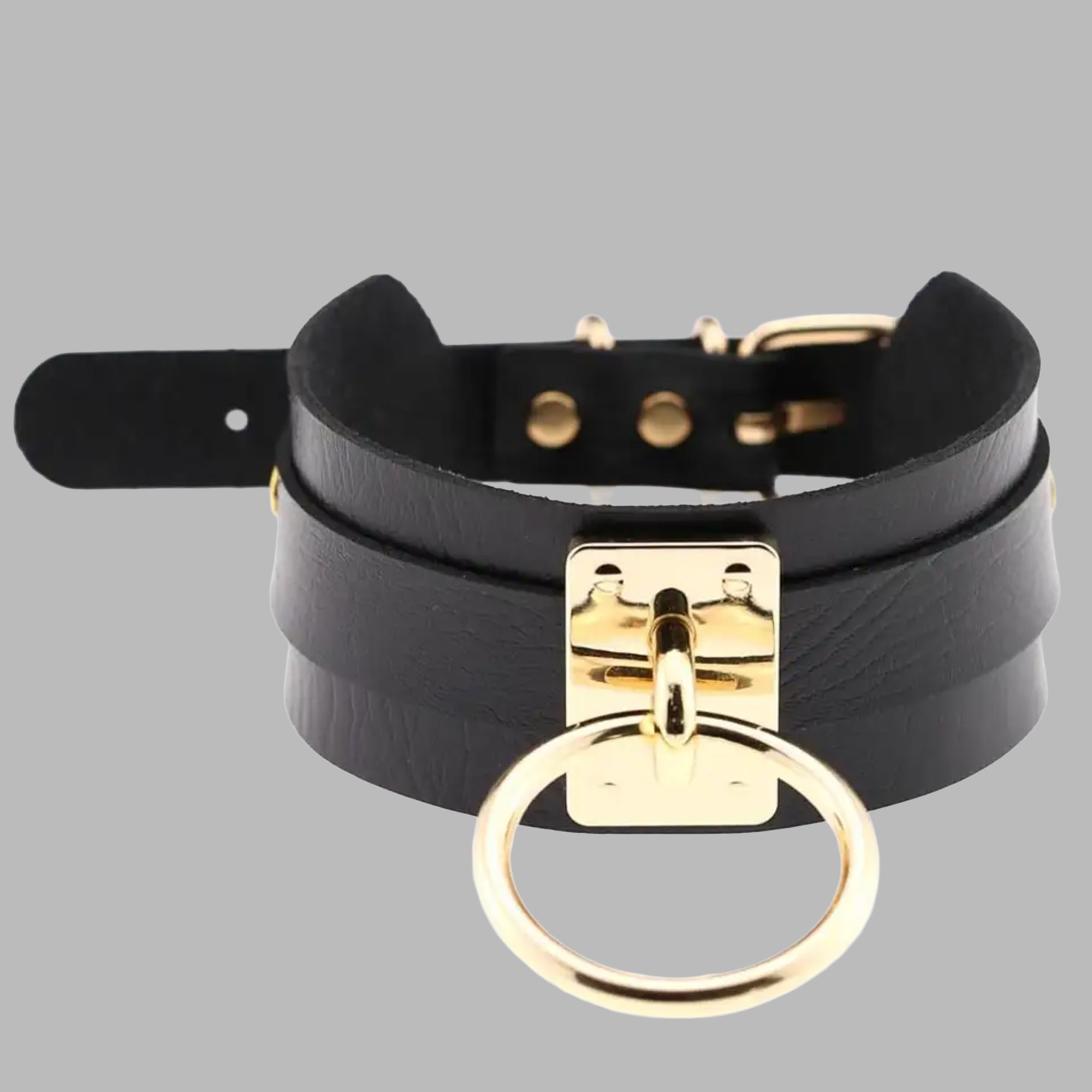 Black single O-ring collar, gold ring and buckle fastening