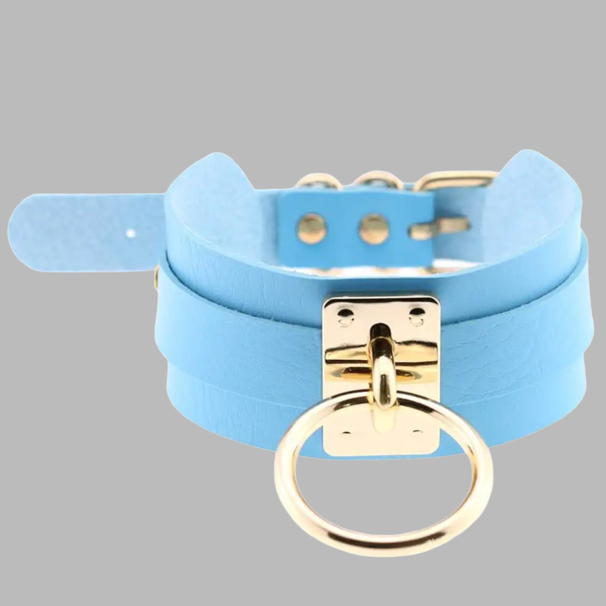 Baby blue single O-ring collar, gold ring and buckle detail