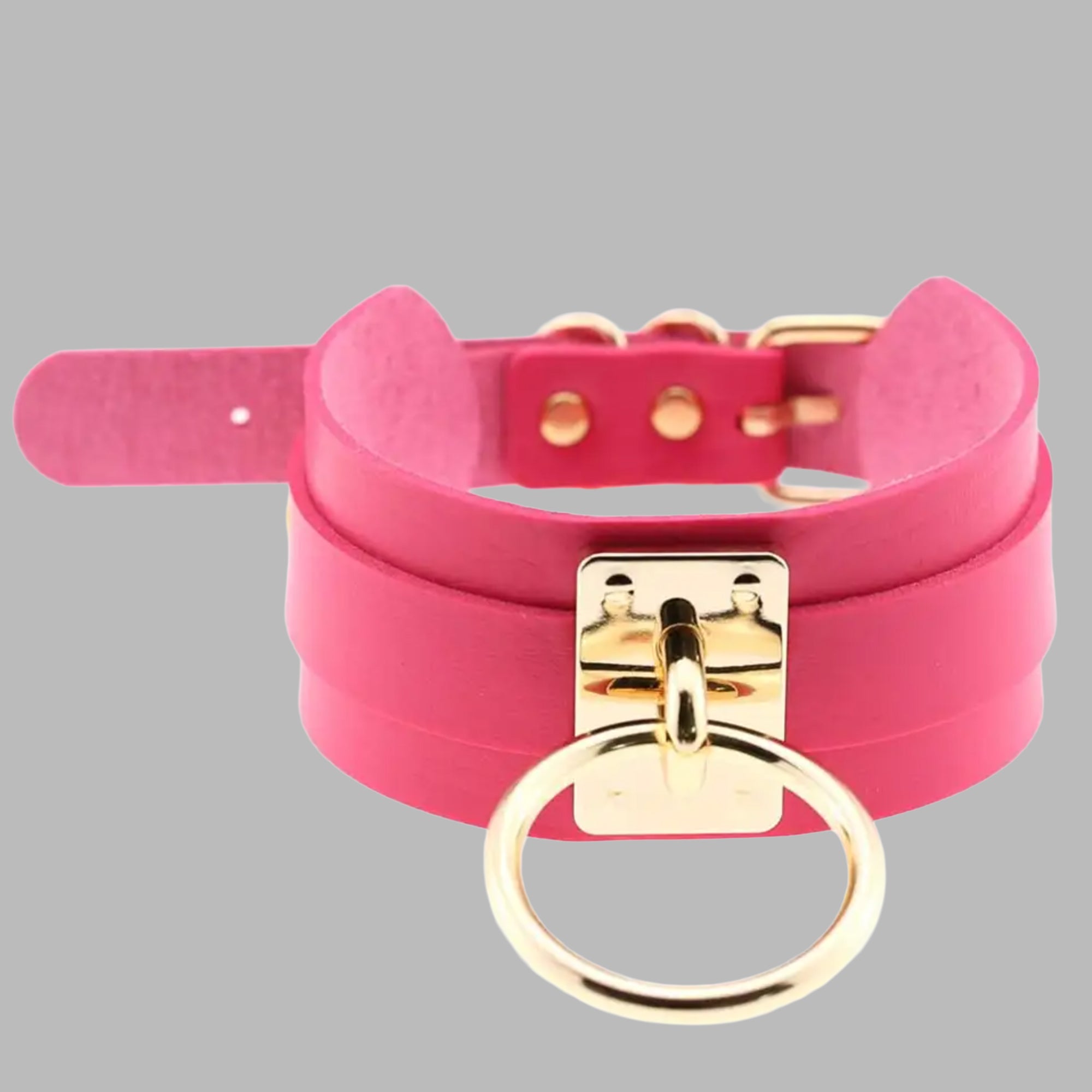Hot pink single O-ring collar, gold ring and buckle fastening