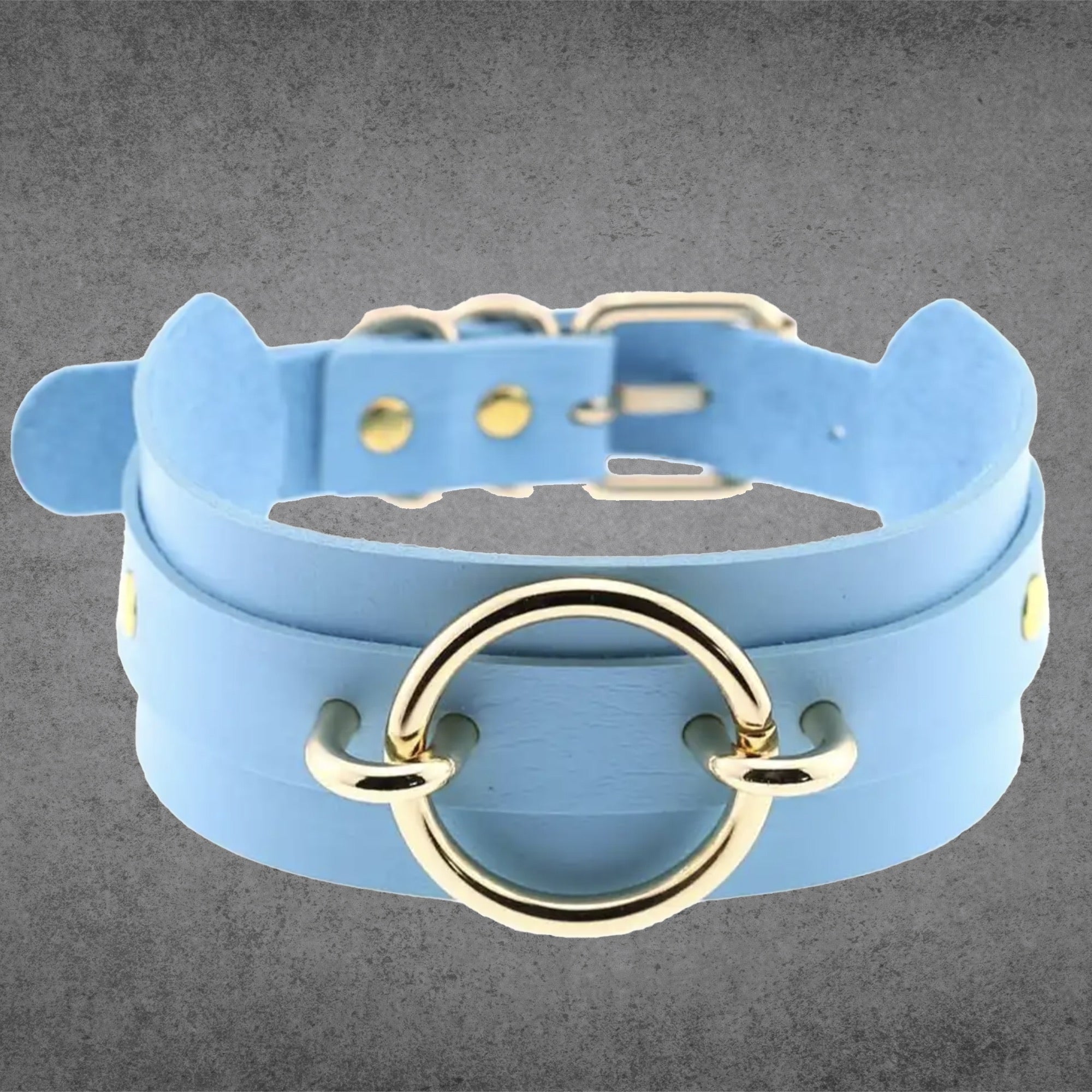 Fixed O Ring Choker Collar - Baby Blue & Gold