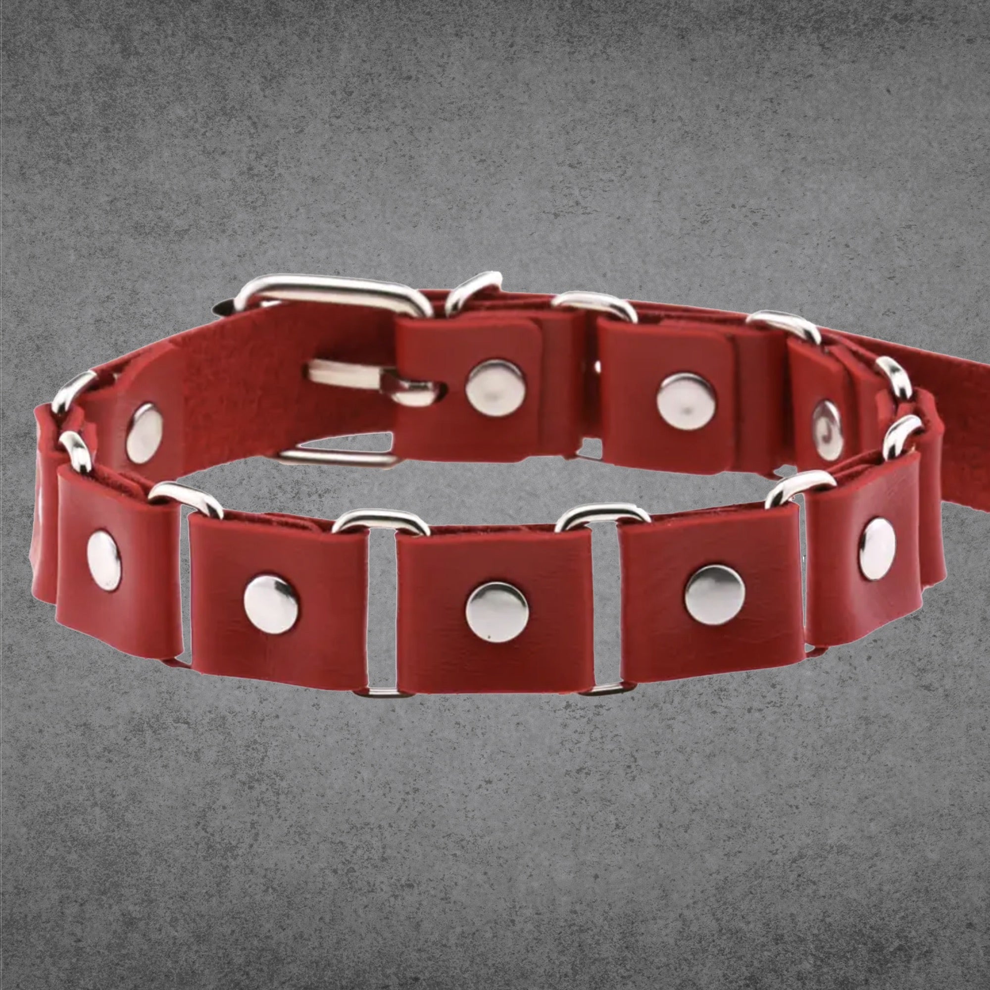 Linked Studded Collar - Red
