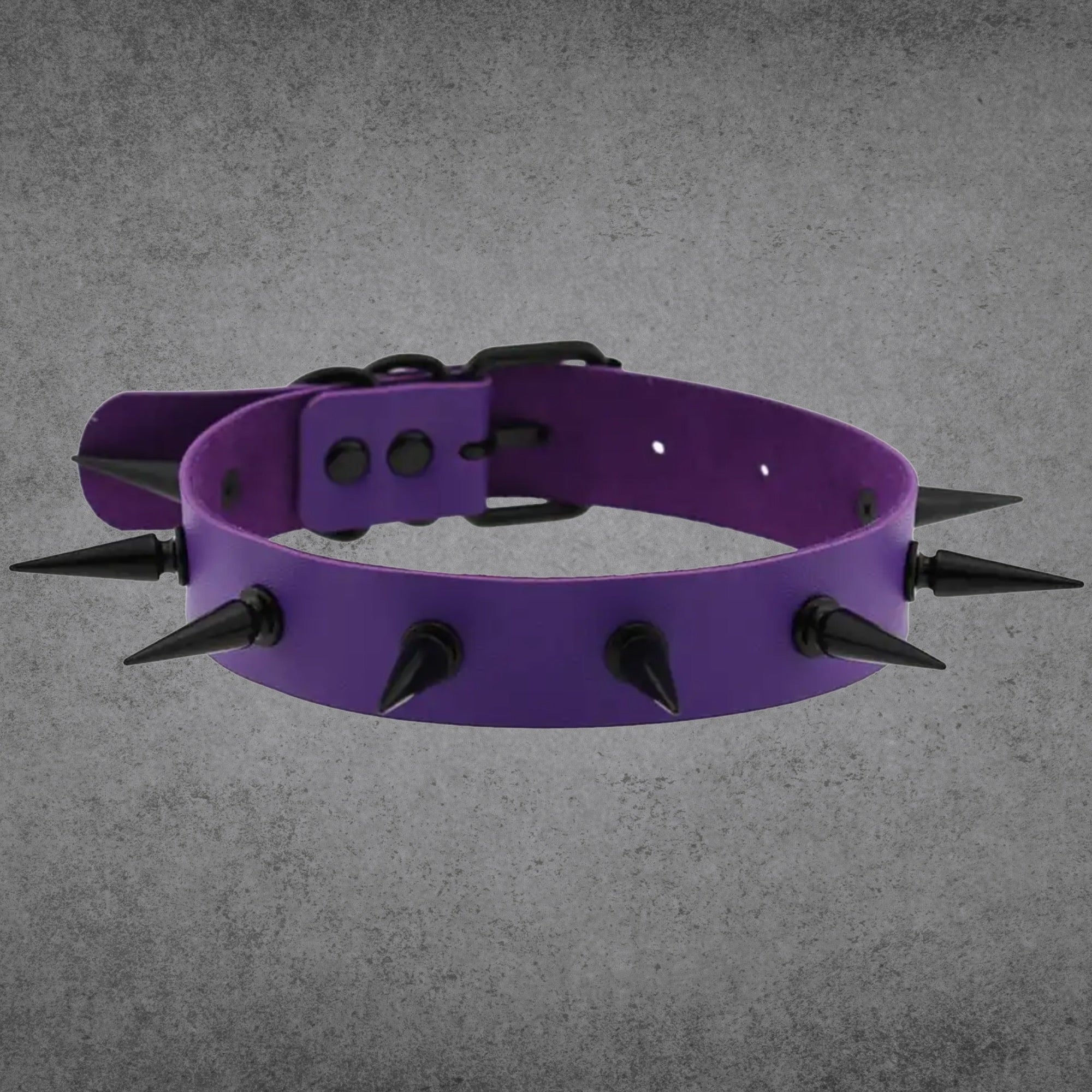 2 Inch Spike Collar - Purple & Black