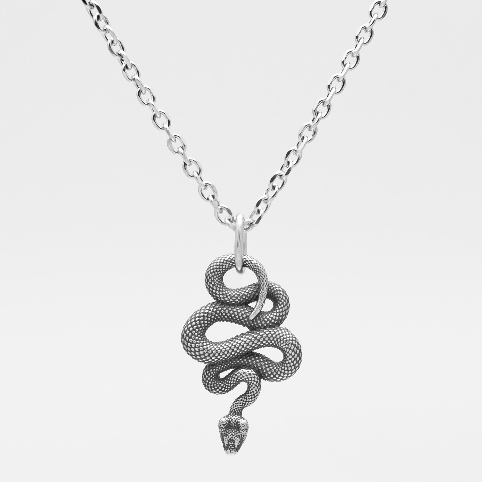 Collier ras du cou serpent enroulé (argent)